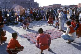 Image du Maroc Professionnelle de  Les acrobates, connus sous le nom d'Oulad Sidi Ahmad Ou Moussa, sont les héritiers traditionnel de l'école du Cheikh de Tazeroualet, fief de la famille maraboutique du Saint patron Sidi Ahmad ou Moussa, véritable société d'artistes de rue marocain, qui s'exerçaient à La fameuse place Jemaa El Fana de Marrakech, la ville touristique du Maroc, Jeudi 19 Mai 1988. (Photo / Abdeljalil Bounhar) 